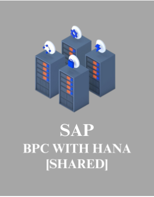 SAP BPC with HANA  [Shared]