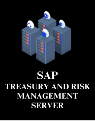 SAP Treasury and Risk Management Server