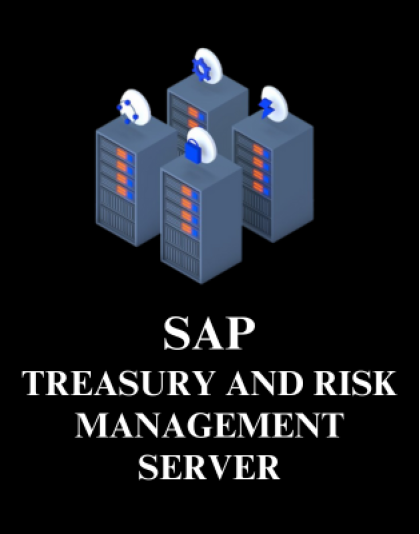 SAP Treasury and Risk Management Server